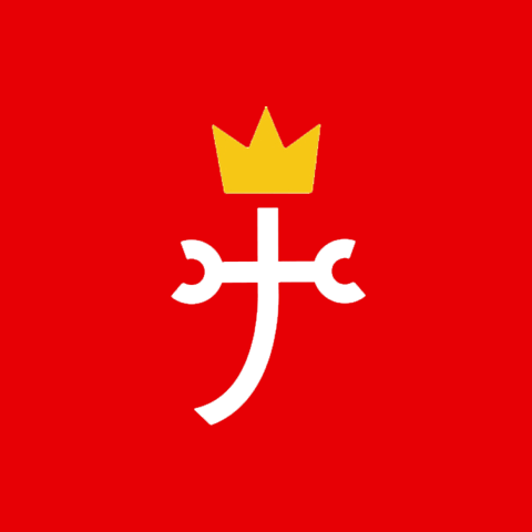 형지글로벌 로고